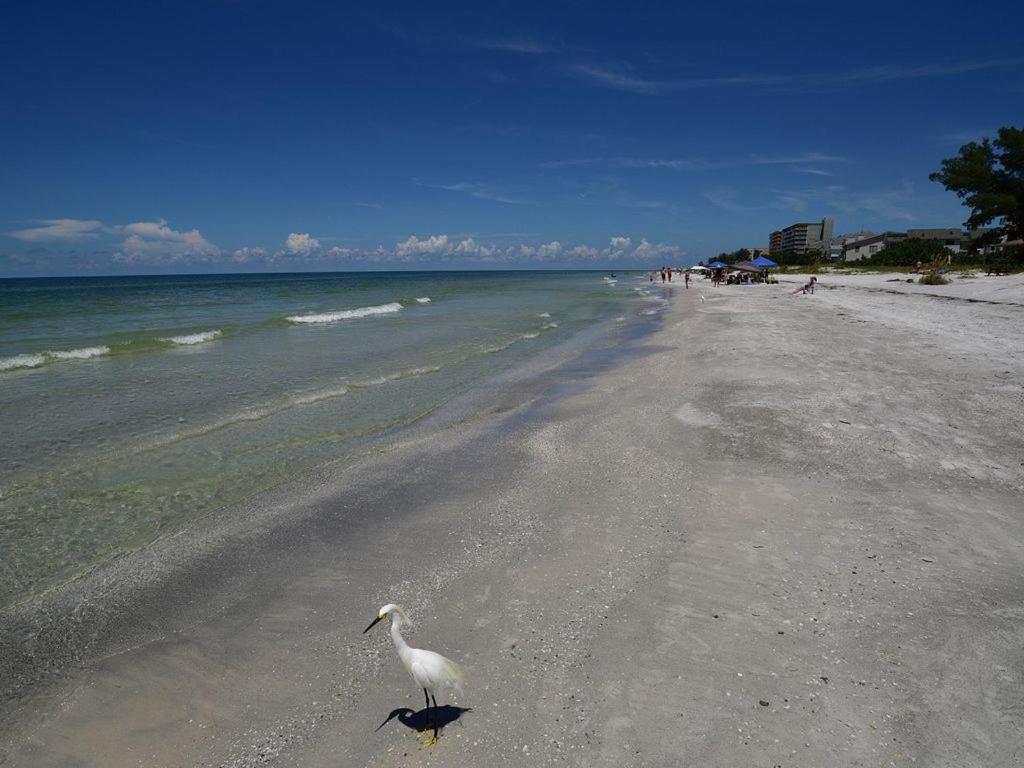 Gulf Retreat 2: Magnificent Water Views, Steps To Beach, None Cleaner, None Nicer! Clearwater Beach Exterior photo